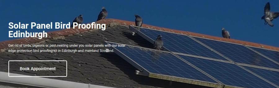 Solar Panel Bird Proofing Edinburgh