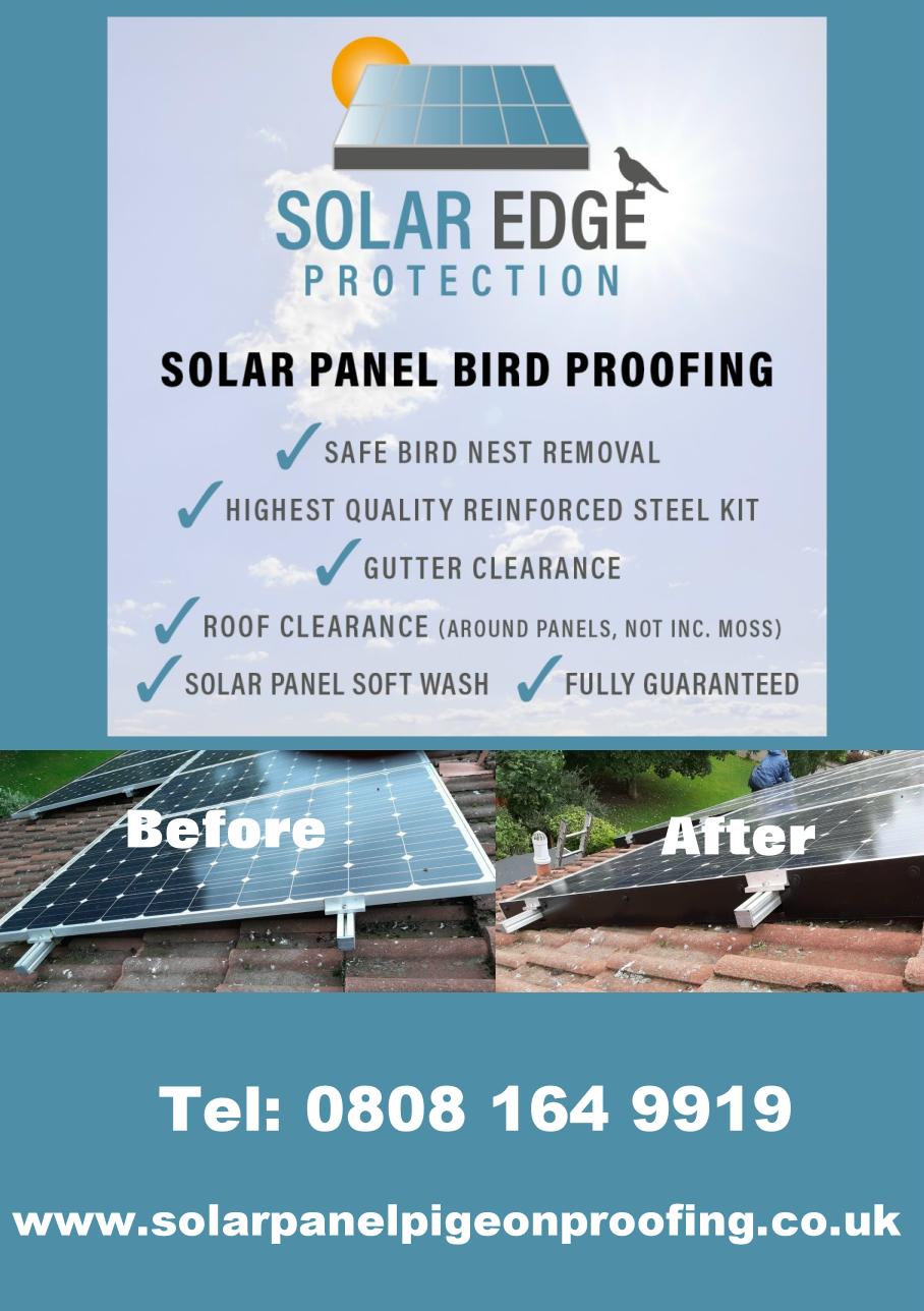 Solar Panel Bird Proofing Edinburgh