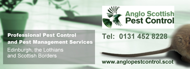 pest control services edinburgh